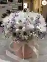 Caja De Margarita Blanca