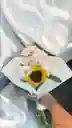 Bouquet De Girasol Con Margarita