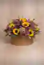 Caja De Girasol Mini Rosa Morada