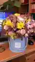 Caja De Rosas Margarita Amarilla Y Gypsophila Morada