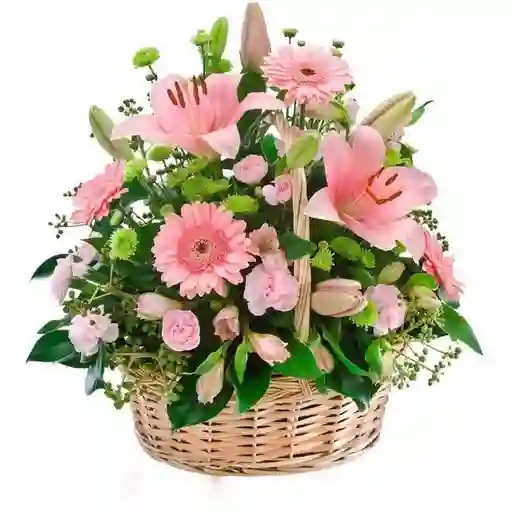 Canasta De Lirio Rosado Gerberas Y Rosa Mini