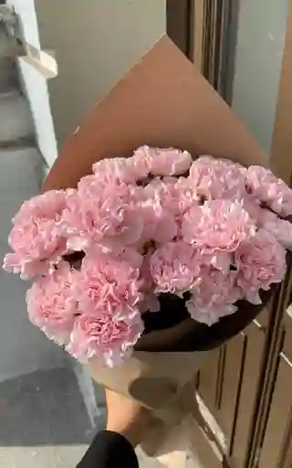 Bouquet De Clavel Rosado