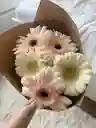 Bouquet De Gérberas