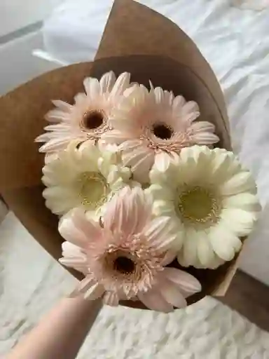Bouquet De Gérberas