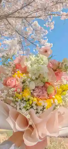 Bouquet De Clavel Y Rosa Rosada