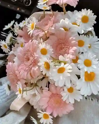 Bouquet De Gérbera Rosada Y Margarita