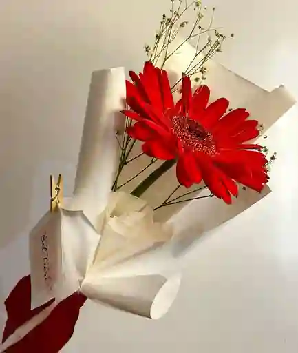Bouquet De Una Gérbera Roja