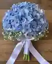 Bouquet De Hortencia Azul Con Gypsophila