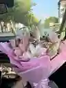 Bouquet De Lirios Rosados