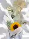 Unidad De Girasol