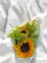 Mini Bouquet Con 2 Girasoles