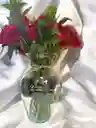 Jarron De 24 Rosas Rojas