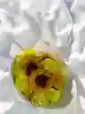 Bouquet De Girasoles Y Rosas Amarillas