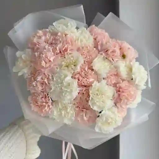 Bouquet De Clavel