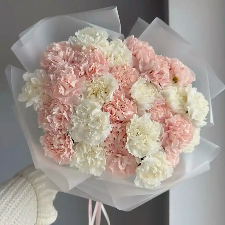 Bouquet De Clavel