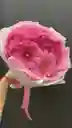 Bouquet De Gerberas Rosadas