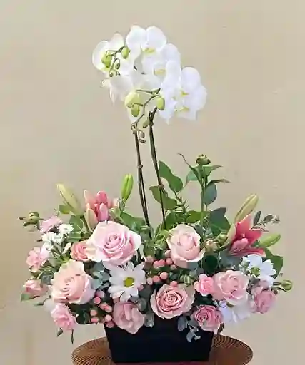 Caja Con Rosa, Margarita, Lirios Y Orquidea
