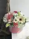 Caja De Margarita Con Gerbera Clavel Y Rosa