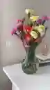 Jarron Mix De Clavel