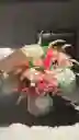 Caja De Rosas Clavel Hortencia Lirio Astromelia