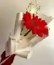 Bouquet De Una Gérbera Roja