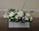 Caja De Rosas Blancas