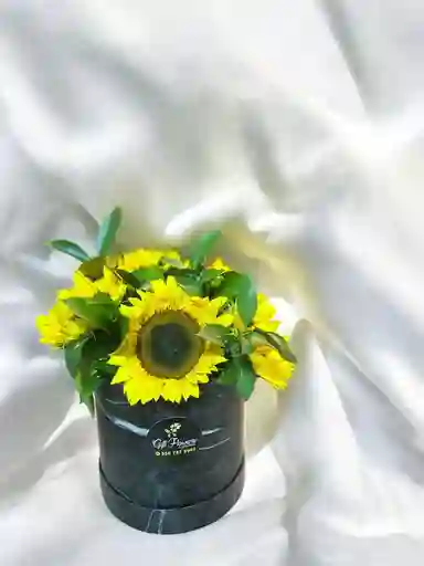 Caja Circular De Girasoles