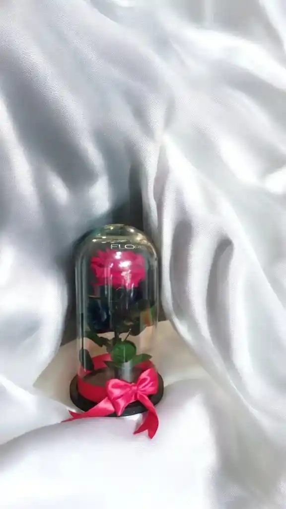 Rosa Preservada En Cúpula.