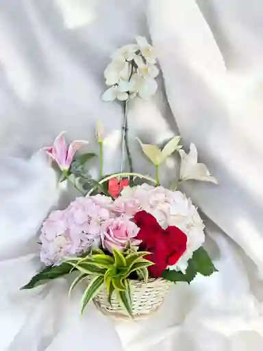 Canasta De Rosas, Hortencias, Lirios Y Orquidea