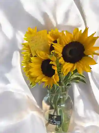 Jarron De Girasoles