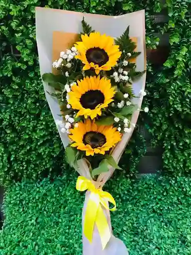 Cascada De Girasoles