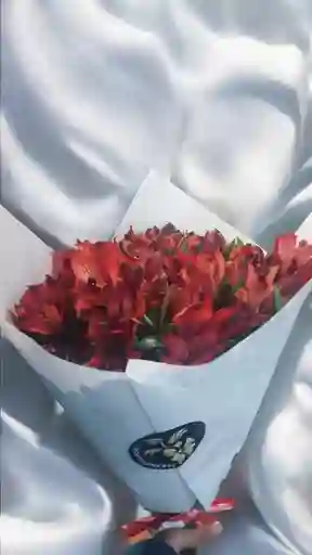 Bouquet Grande De Astromelia Roja.