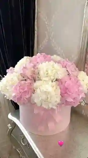 Caja De Hortencias Mix