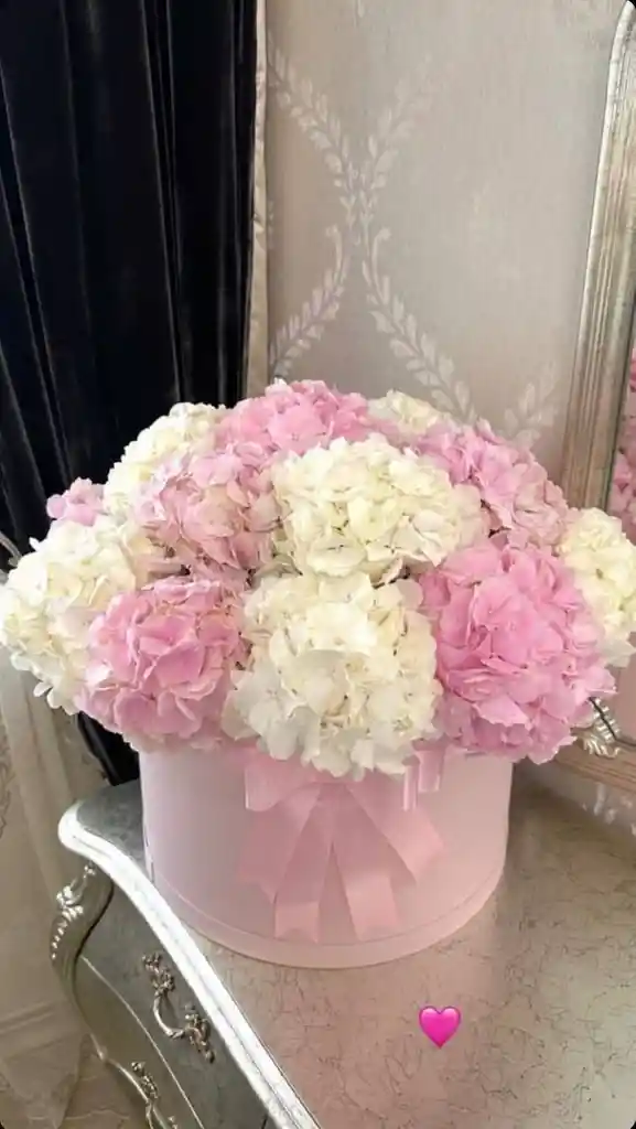 Caja De Hortencias Mix