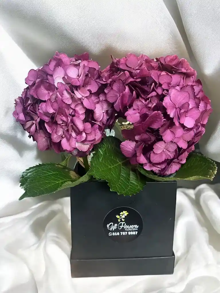 Caja Cuadrada De Hortensias Moradas