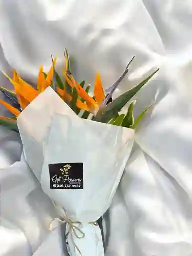 Bouquet De Aves Del Paraíso