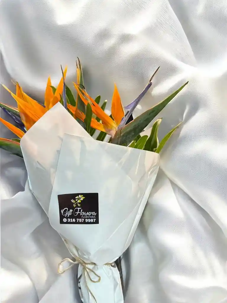 Bouquet De Aves Del Paraíso