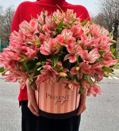 Caja Redonda De Astromelia Rosada