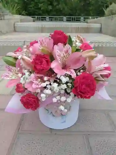 Caja Con Clavel, Astromelia Y Gypsophila