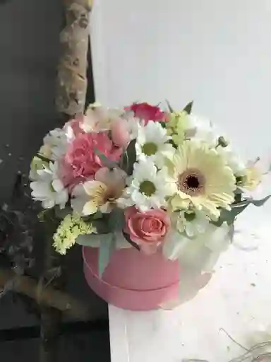 Caja De Margarita Con Gerbera Clavel Y Rosa