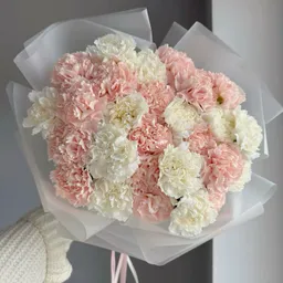 Bouquet De Clavel