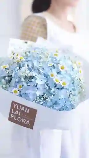 Bouquet De Hortencia Azul Con Margarita Blanca