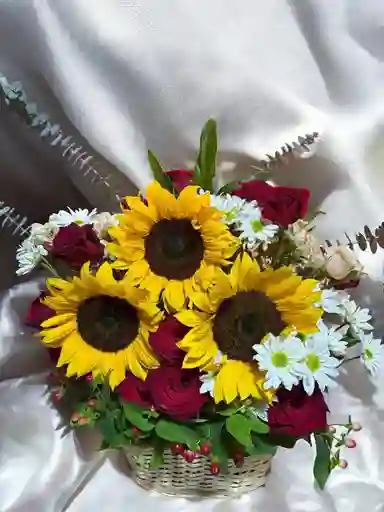 Canas De Rosas, Girasoles Y Margaritas