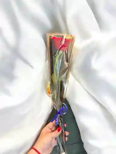 Rosa Unidad