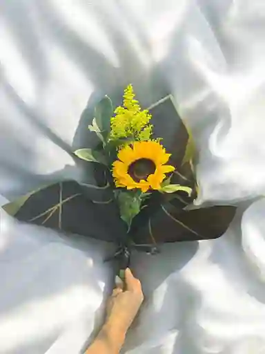 Ramo De Girasol Con Soliago Y Ruscus