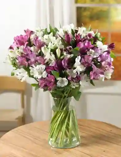 Jarron De Mix De Astromelia