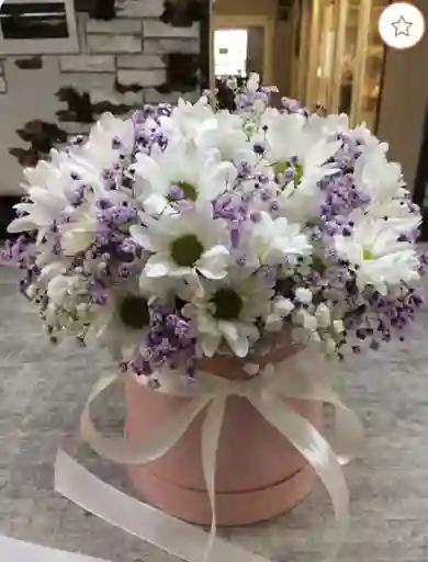 Caja De Margarita Blanca