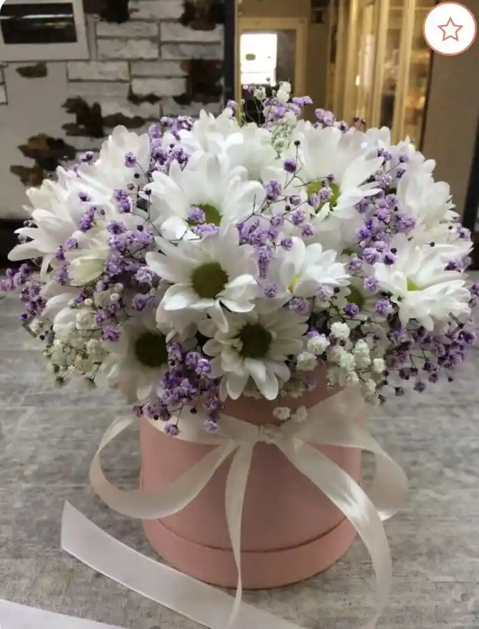 Caja De Margarita Blanca