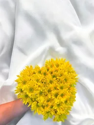 Caja De Corazón De Margaritas Amarillas