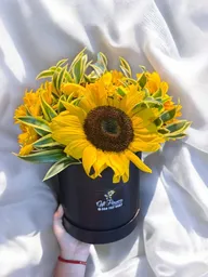 Caja Redonda De 7 Girasoles.